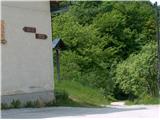 Med zasavskimi in dolenjskimi hribi - krožna iz kraja Laze Na koncu vasi Javorje pri nekdanji osnovni šoli se usmerimo na cesto za Obolno